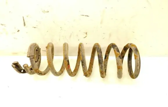 Rear coil spring