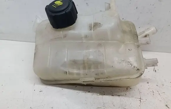 Renault Scenic III - Grand scenic III Coolant expansion tank/reservoir 217100005R