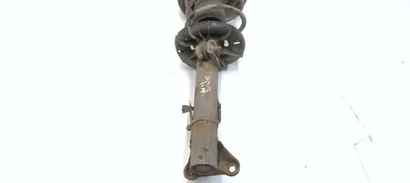 Mercedes-Benz C W203 Front shock absorber with coil spring 