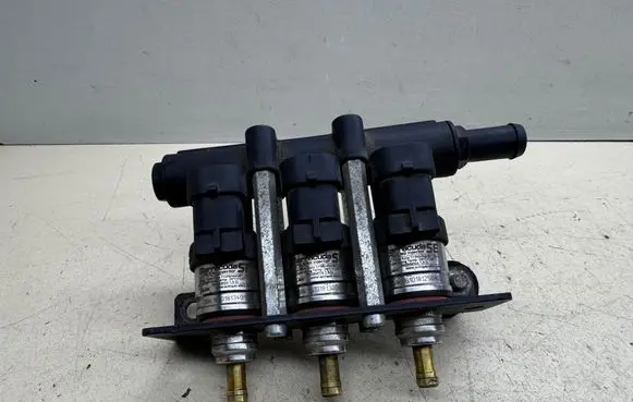 Chevrolet Epica LP gas injector 67R016409 E867R016409 110R006410