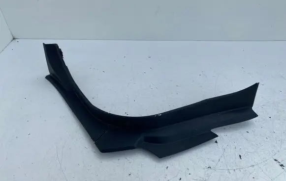 Rear/tail light trim molding