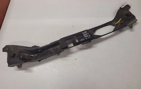 Engine bonnet/hood lock trim molding