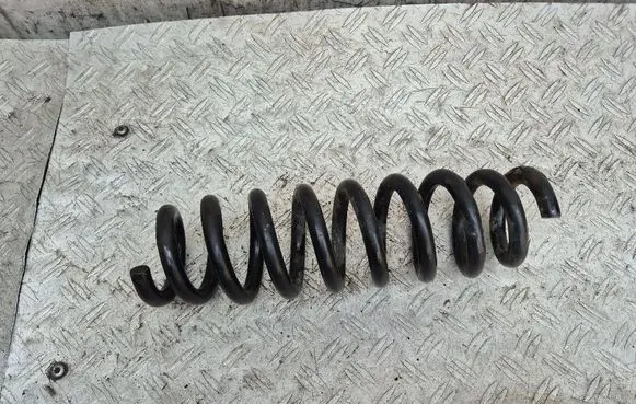Rear coil spring