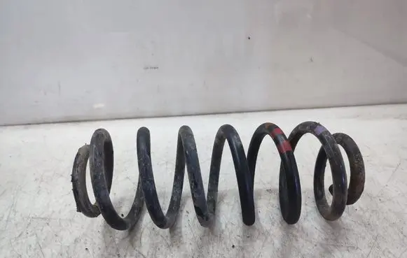 Rear coil spring