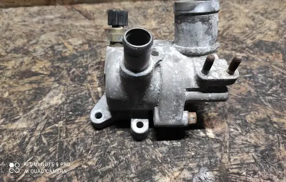 Thermostat/thermostat housing