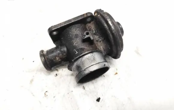 BMW X5 E53 EGR valve 778545204