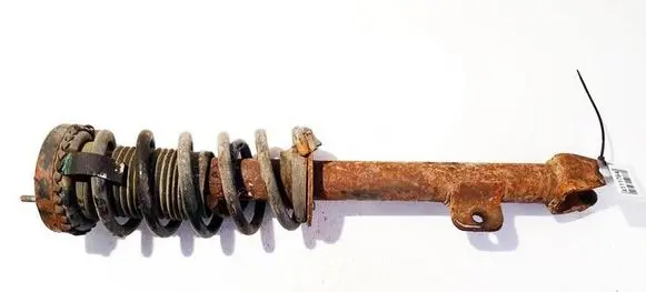 Dodge Magnum Front shock absorber/damper 