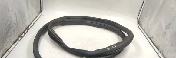 Cadillac CTS Rubber seal rear door 