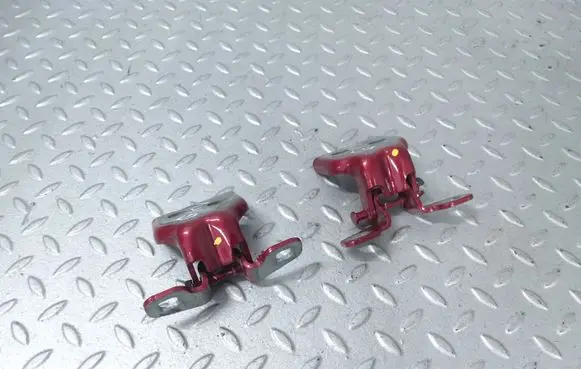 Dacia Sandero III Rear door hinge set 804209726R 804207876R