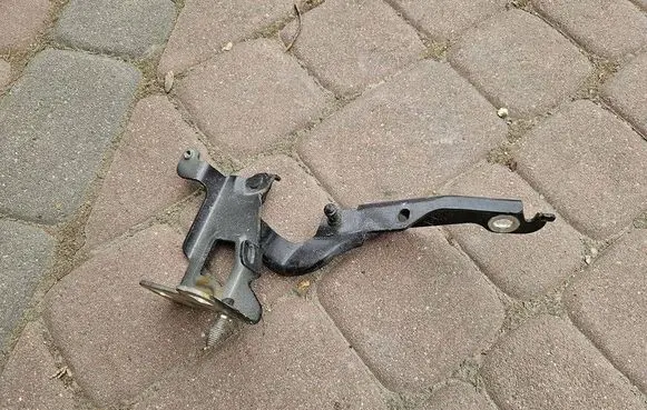 Opel Vivaro Engine bonnet/hood hinges 654004002R