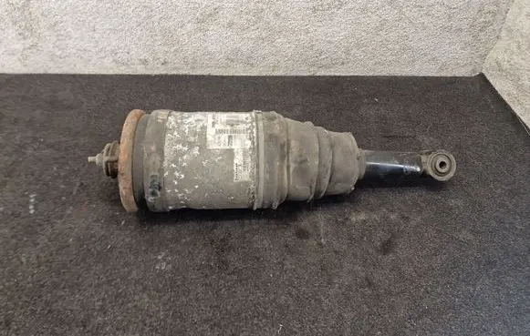Land Rover Discovery 4 - LR4 Rear shock absorber/damper AH2218W002AC