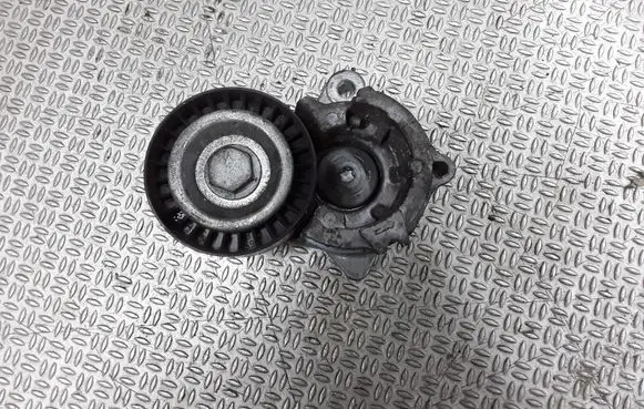 Citroen Xsara Picasso Generator/alternator belt tensioner T38206
