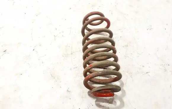 Rear coil spring