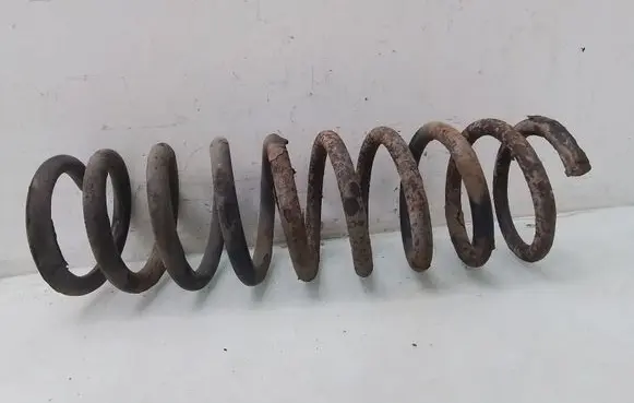 Rear coil spring