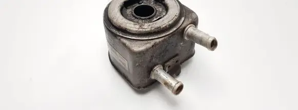 Peugeot 206 Oil filter mounting bracket 9650863380