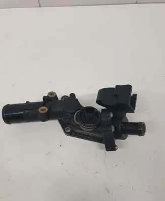 Thermostat/thermostat housing