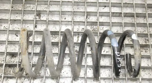 Opel Antara Rear coil spring