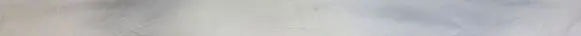 Ford C-MAX II Rear door trim (molding) AM51R25605B