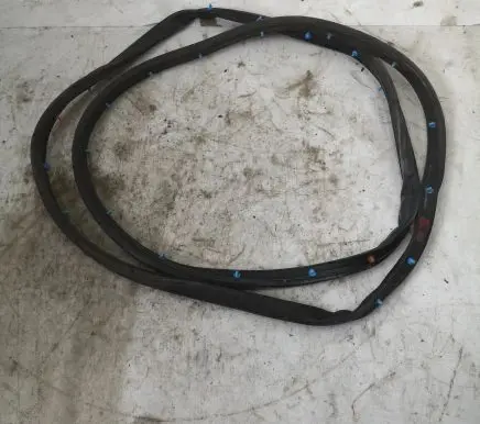 Ford Fusion II Rubber seal rear door 