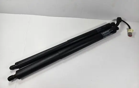Ford Edge II Tailgate/trunk strut/damper FT4BR402A55BA