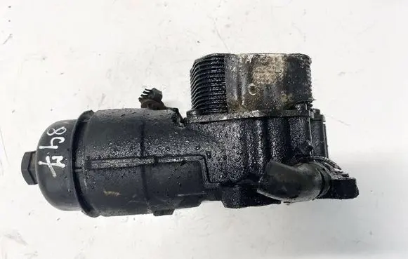 Citroen C4 I Oil filter cover 