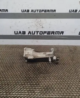 Thermostat/thermostat housing