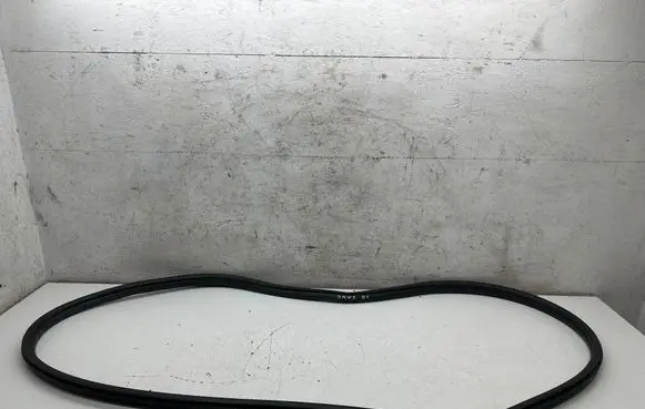 BMW 3 F30 F35 F31 Front door rubber seal