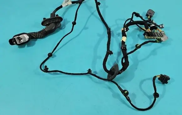 Front door wiring loom