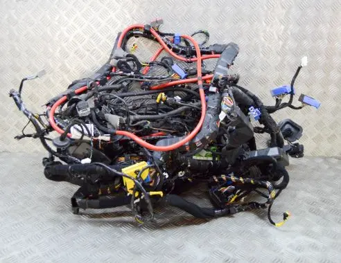 Maserati Quattroporte Other wiring loom 670006797 670007518