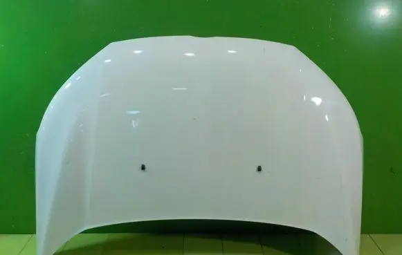 Ford Ecosport Engine bonnet/hood 17AB75