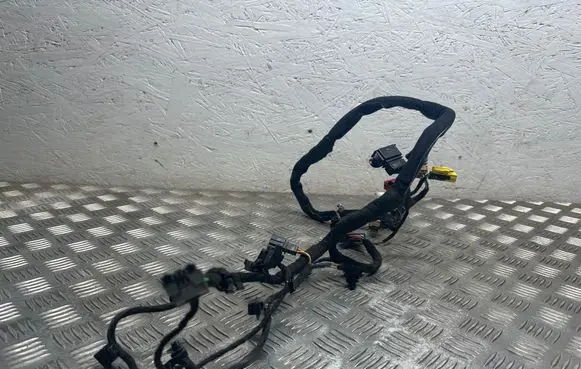 Porsche Panamera (971) Other wiring loom 4F0937731F KW3316