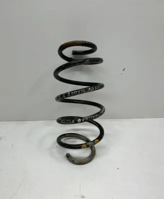 Volkswagen PASSAT B6 Rear coil spring