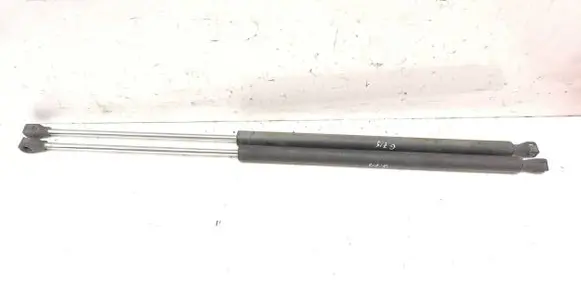 Tailgate/trunk strut/damper