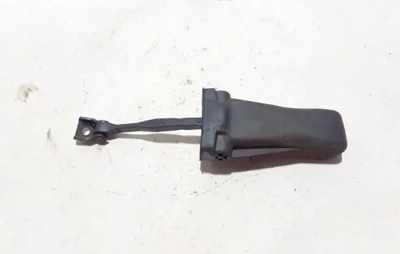 Cupra Formentor Rear door check strap stopper 5FF839179