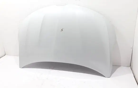 Engine bonnet/hood