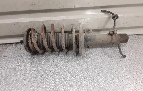 Peugeot 207 Front shock absorber with coil spring