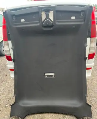 BMW X6 G06 Headlining 