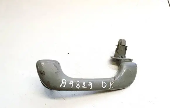 Renault Scenic I Rear interior roof grab handle 1020007