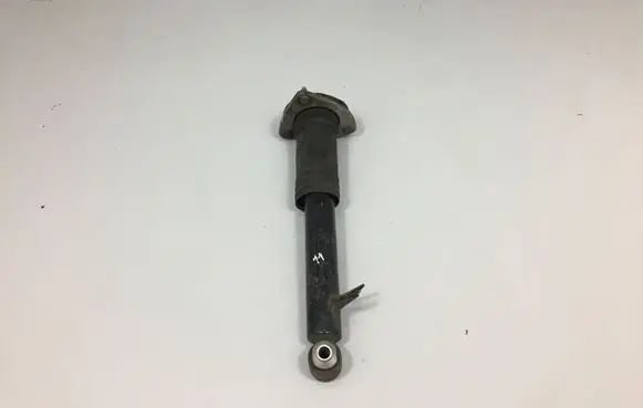 BMW X5 E70 Rear shock absorber/damper 6782878