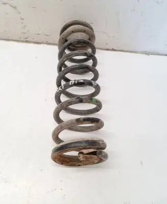 Rear coil spring