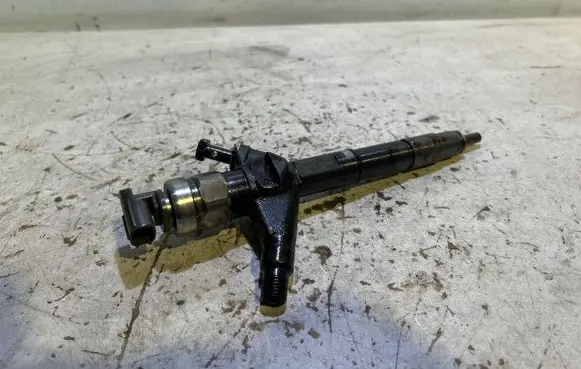 Nissan Pathfinder R51 Fuel injector 16600EC00A 12H03071