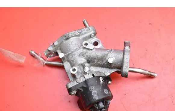 EGR valve