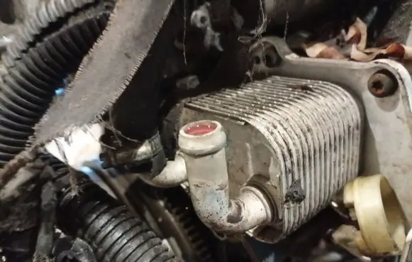 Opel Astra H Engine oil radiator