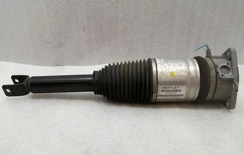 Bentley Continental Rear shock absorber with coil spring 3W8616001F