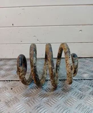 Volkswagen Sharan Rear coil spring