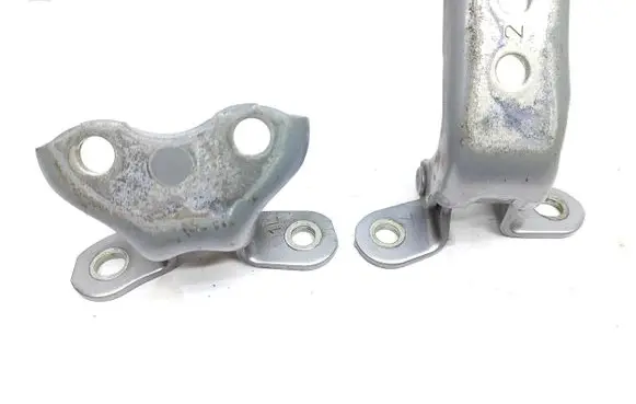 Toyota C-HR I Front door hinge set 