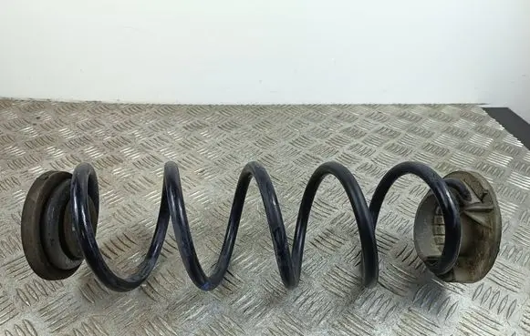 Rear coil spring