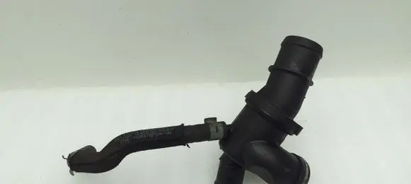 Thermostat/thermostat housing