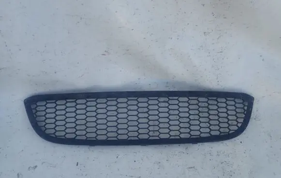 BMW 1 E81 E87 Front bumper lower grill