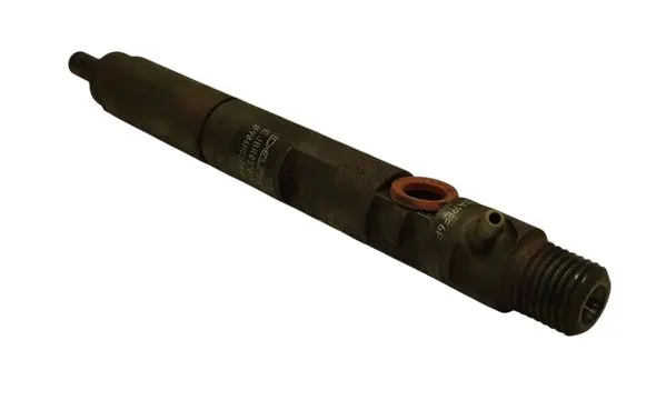 Renault Megane III Fuel injector EJBR05102D